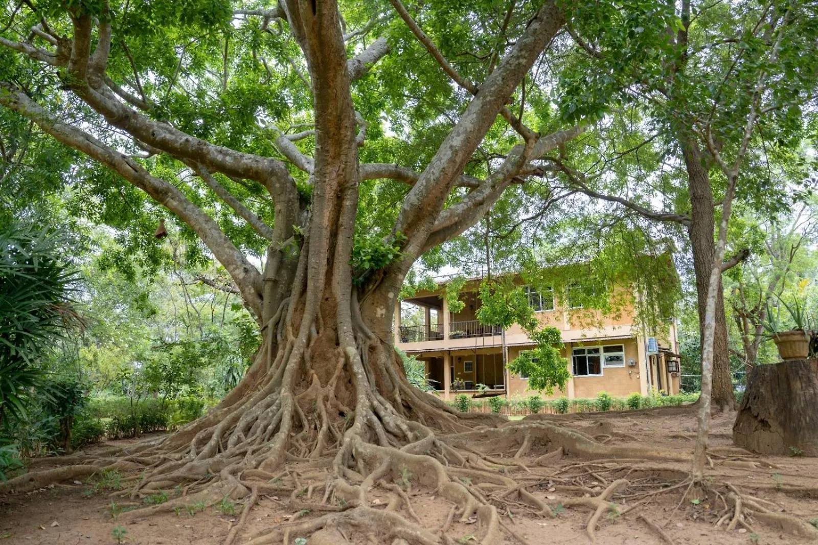 Upies Folly Lakeside Bungalow Hotel Habarana 0*,