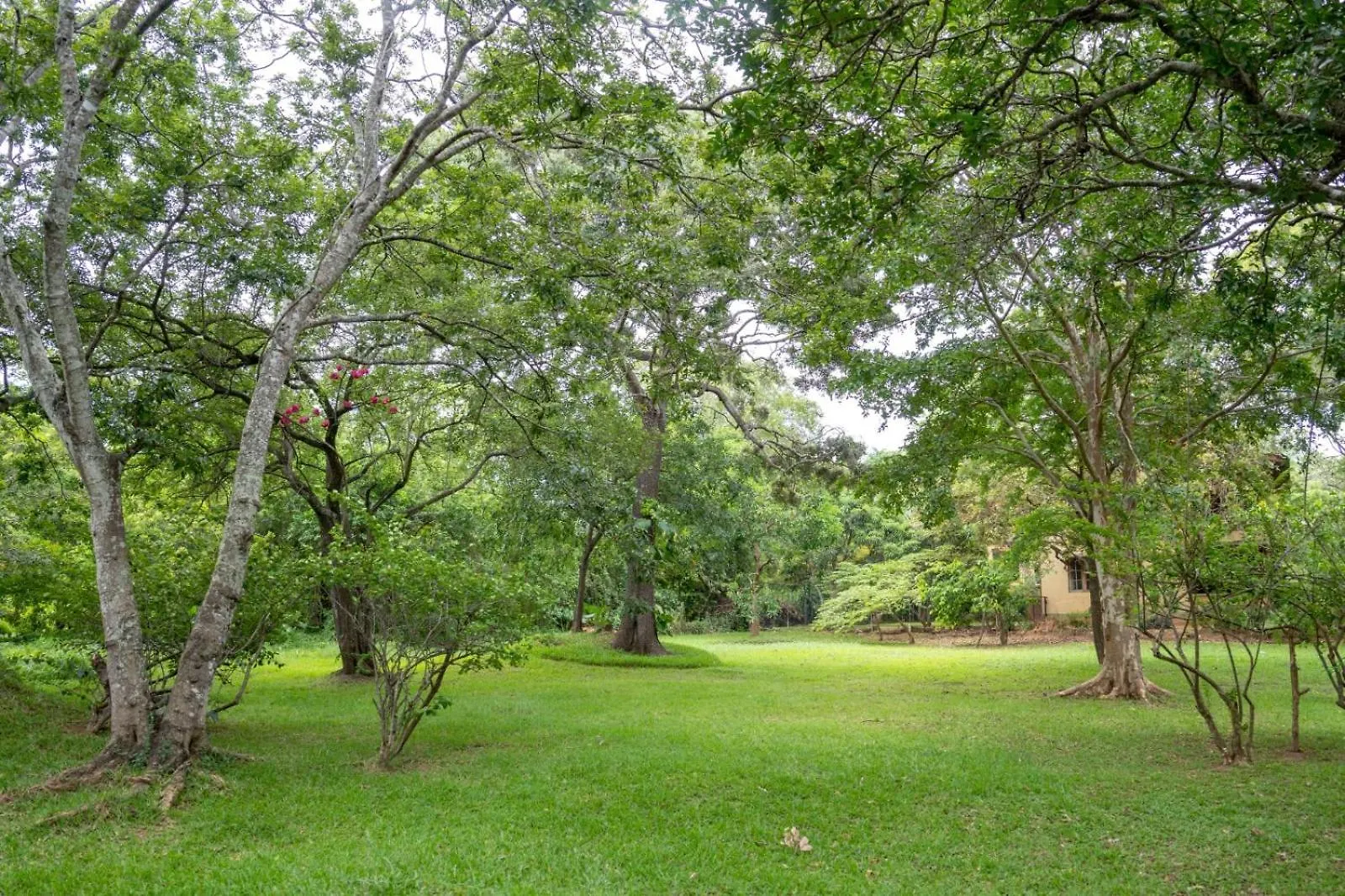 Guest house Upies Folly Lakeside Bungalow Hotel Habarana Sri Lanka