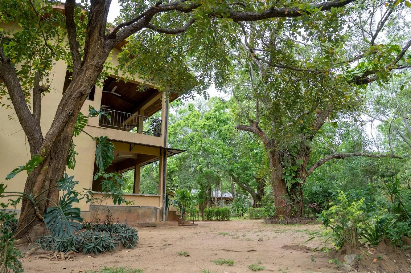 Guest house Upies Folly Lakeside Bungalow Hotel Habarana
