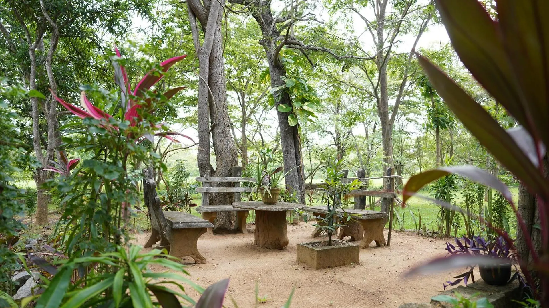 Upies Folly Lakeside Bungalow Hotel Habarana Guest house